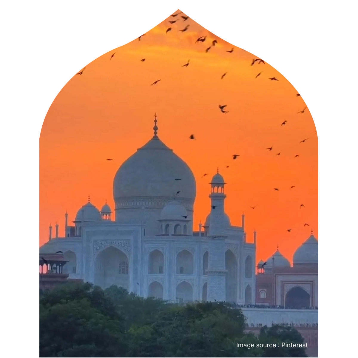 Distance view of Taj Mahal with a sunset view and flock of birds flying over the Taj Mahal