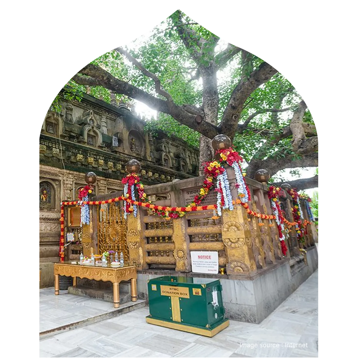 Sacred Bodhi Tree in Bodh Gaya where Lord Buddha attained enlightenment, decorated shrine near Mahabodhi Temple