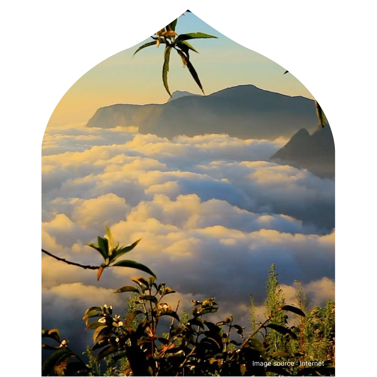 green rollings hills of munnar where tea plantations are