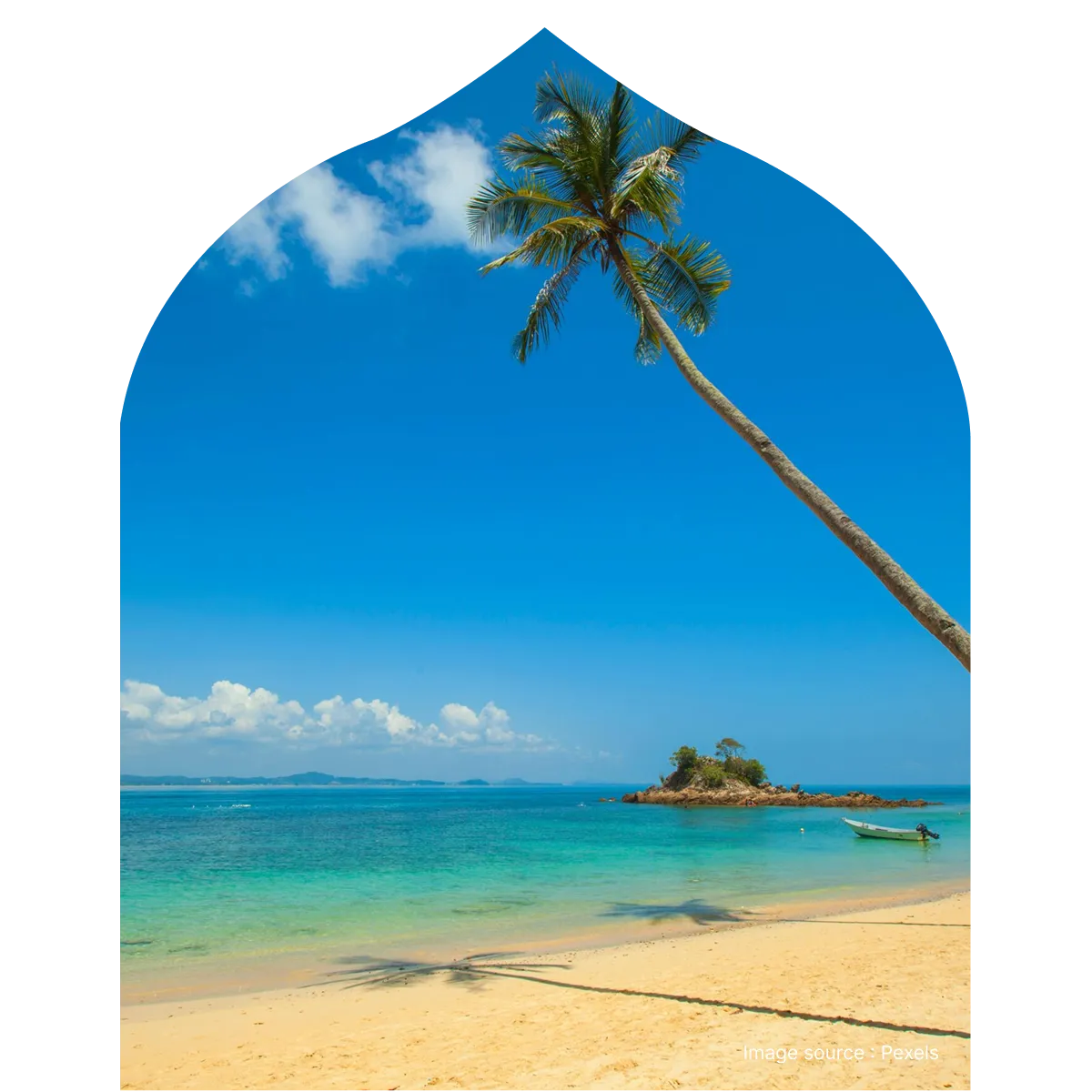 Tropical beach in Goa with a leaning coconut palm, turquoise blue sea, sandy shoreline, and a small island visible offshore