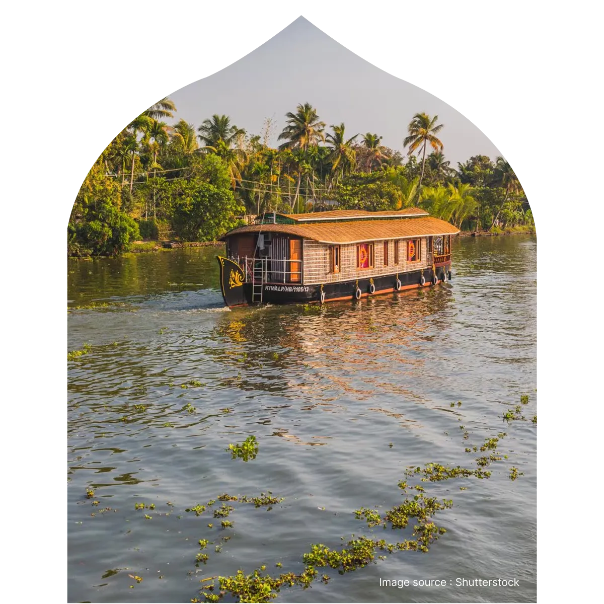 a tranquil view of a traditional houseboat floating down the backwaters in alleppey with palm trees in the background