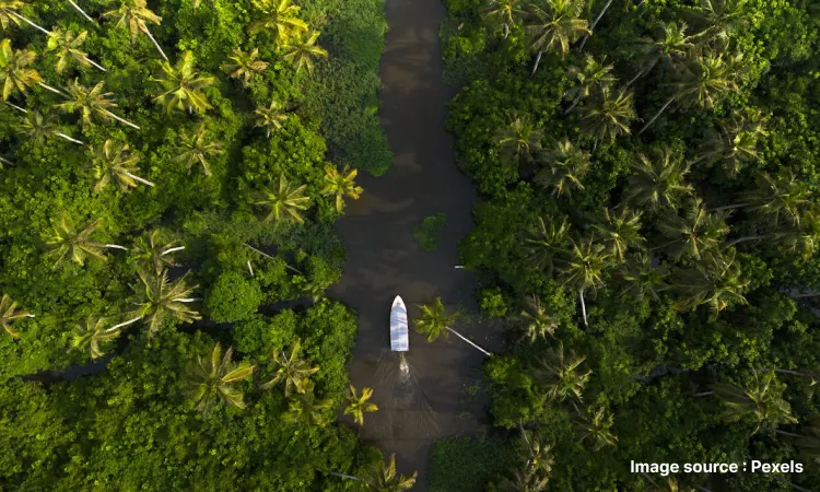 A bird's eye view of the tranquil Kerala Backwaters