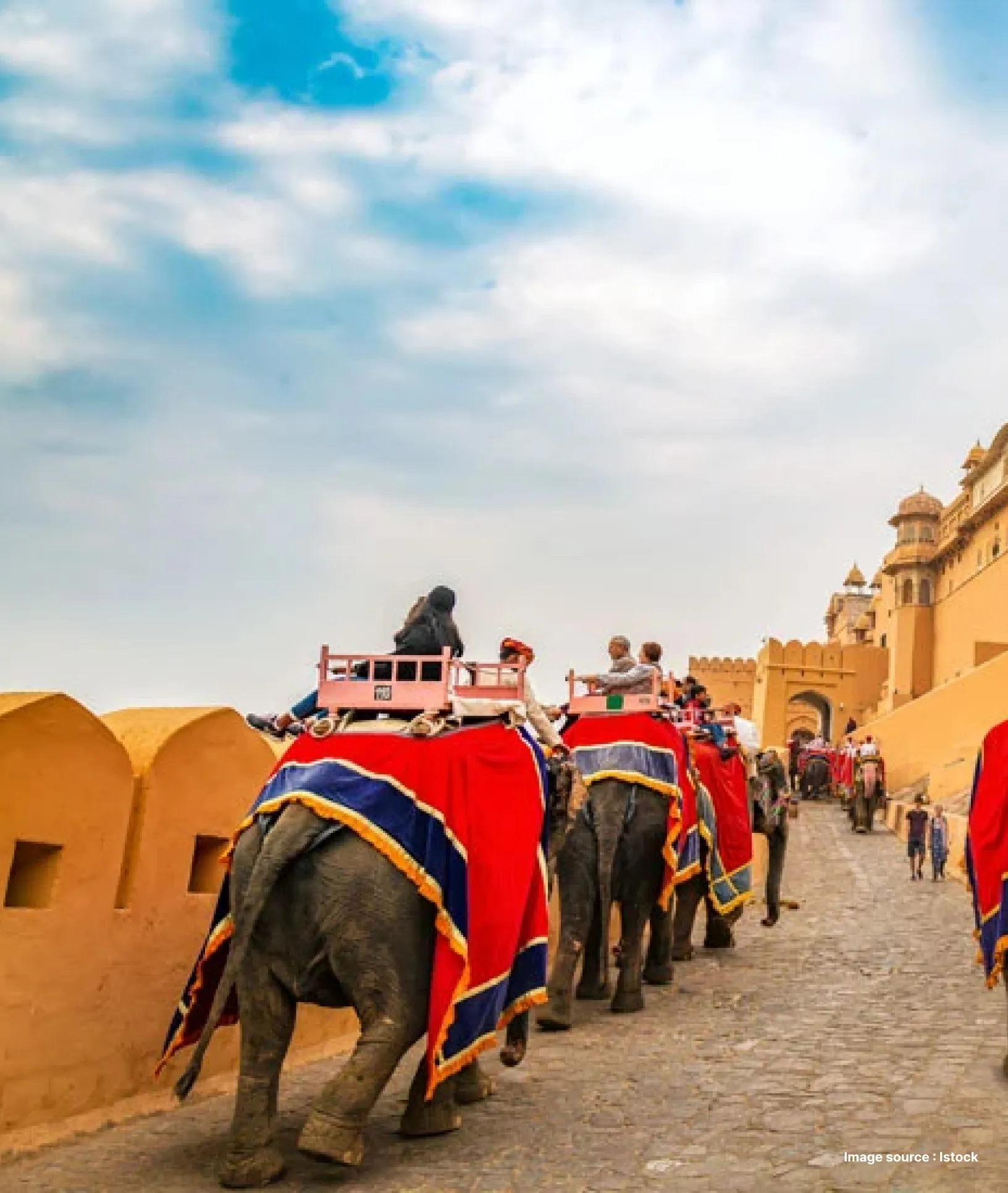decorated elephants carrying tourists up the amer fort hill entrance