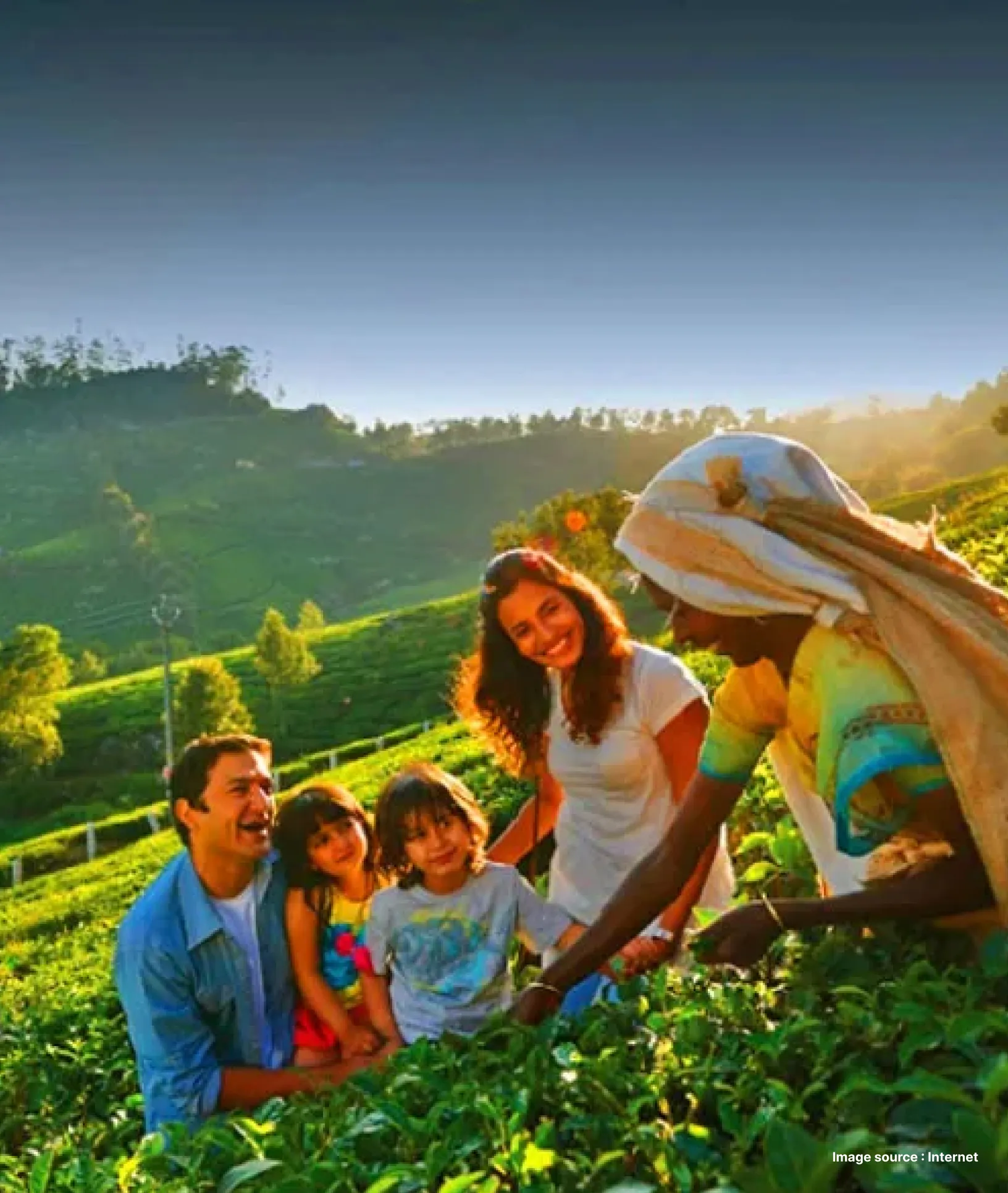 a family learning the art of tea harvestation in munnar from a tea picker lady