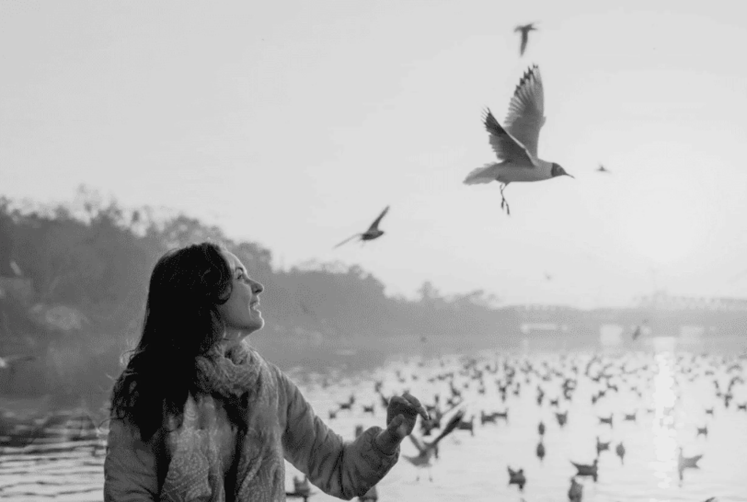 A lady sitting in a boat in Yamuna River with flock of birds flying around the boat