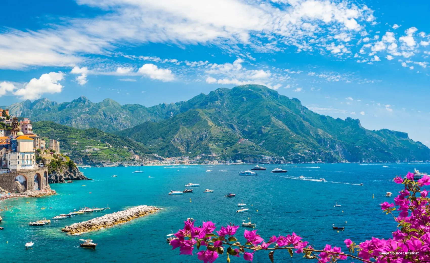 aerial view of a green mountain in distance and a clear beautiful ocean with pink flowering leaves in frame
