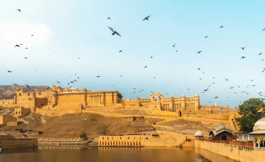 distant shot of the impressive amer fort with golden walls as birds fly over it