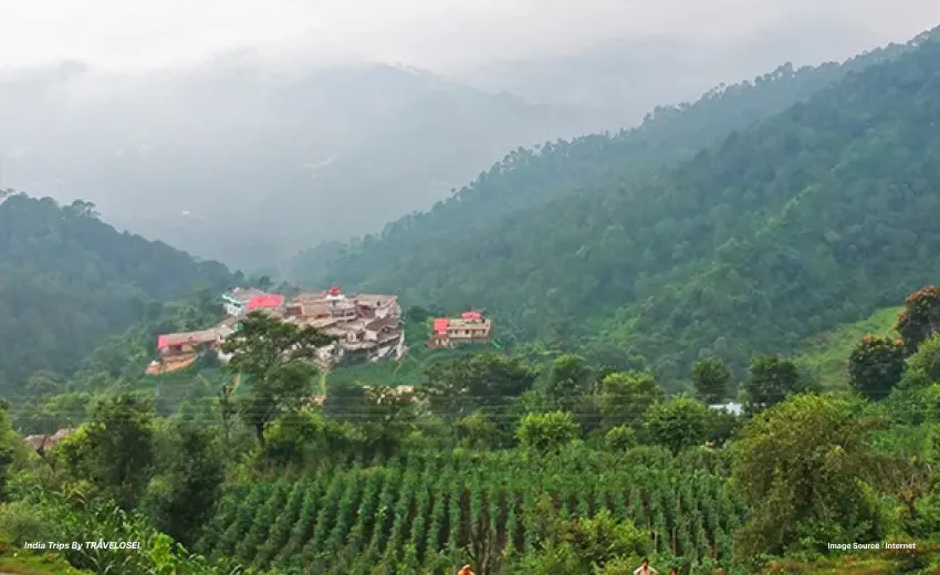 An image of a house covered in trees in a north indian hill station