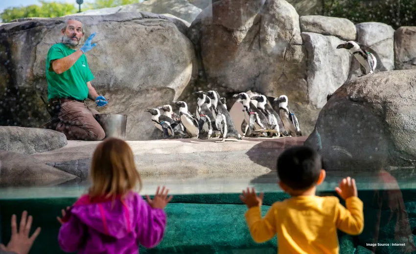 two kids excitedly observe penguins past a glass window as a caretaker explains