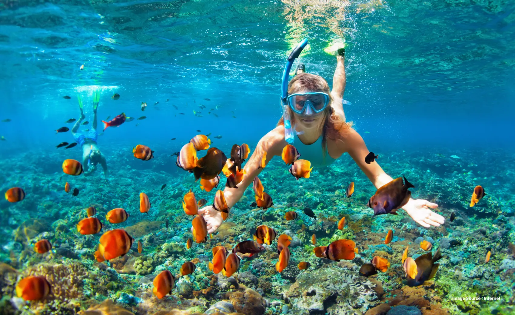 a white woman snorkelling with a school of yellow fishes
