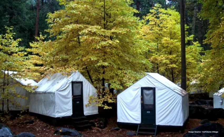 a bunch of white tents surrounded by dense trees with yellow leaves