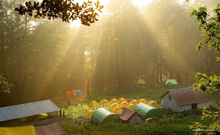 majestic sunlight falling on the jungle grounds with many tents set up