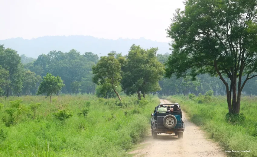 safari jeep in the distance