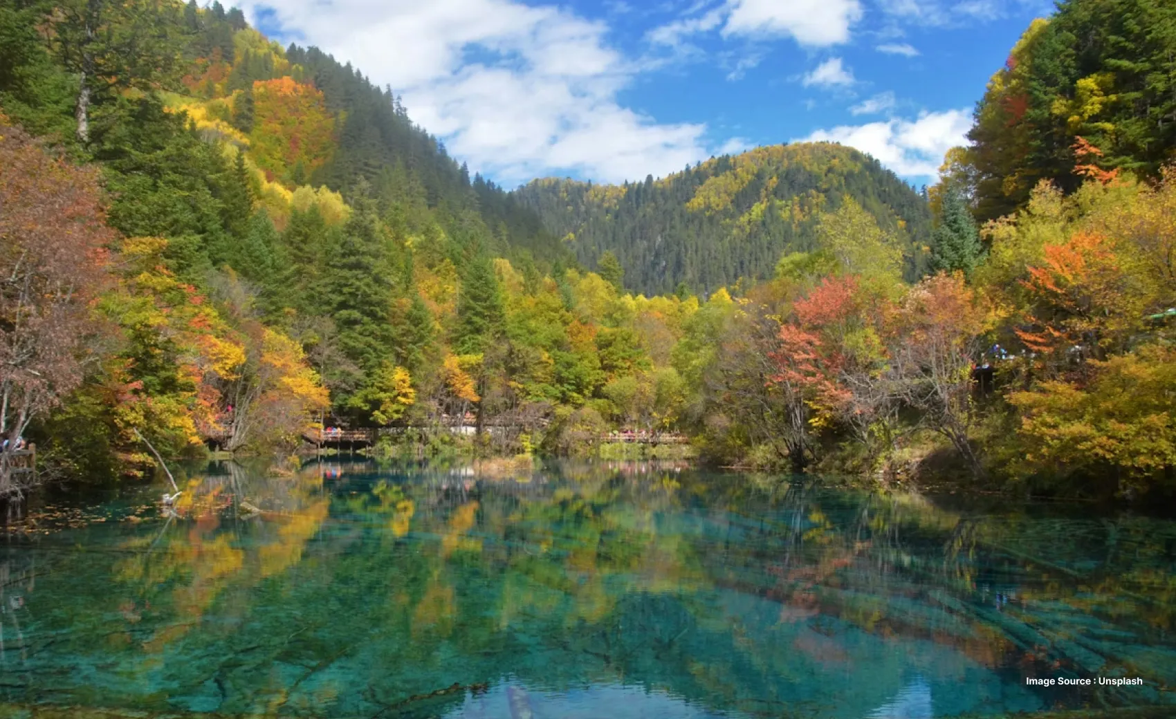 lush green hills with trees of different colors with a lake in front