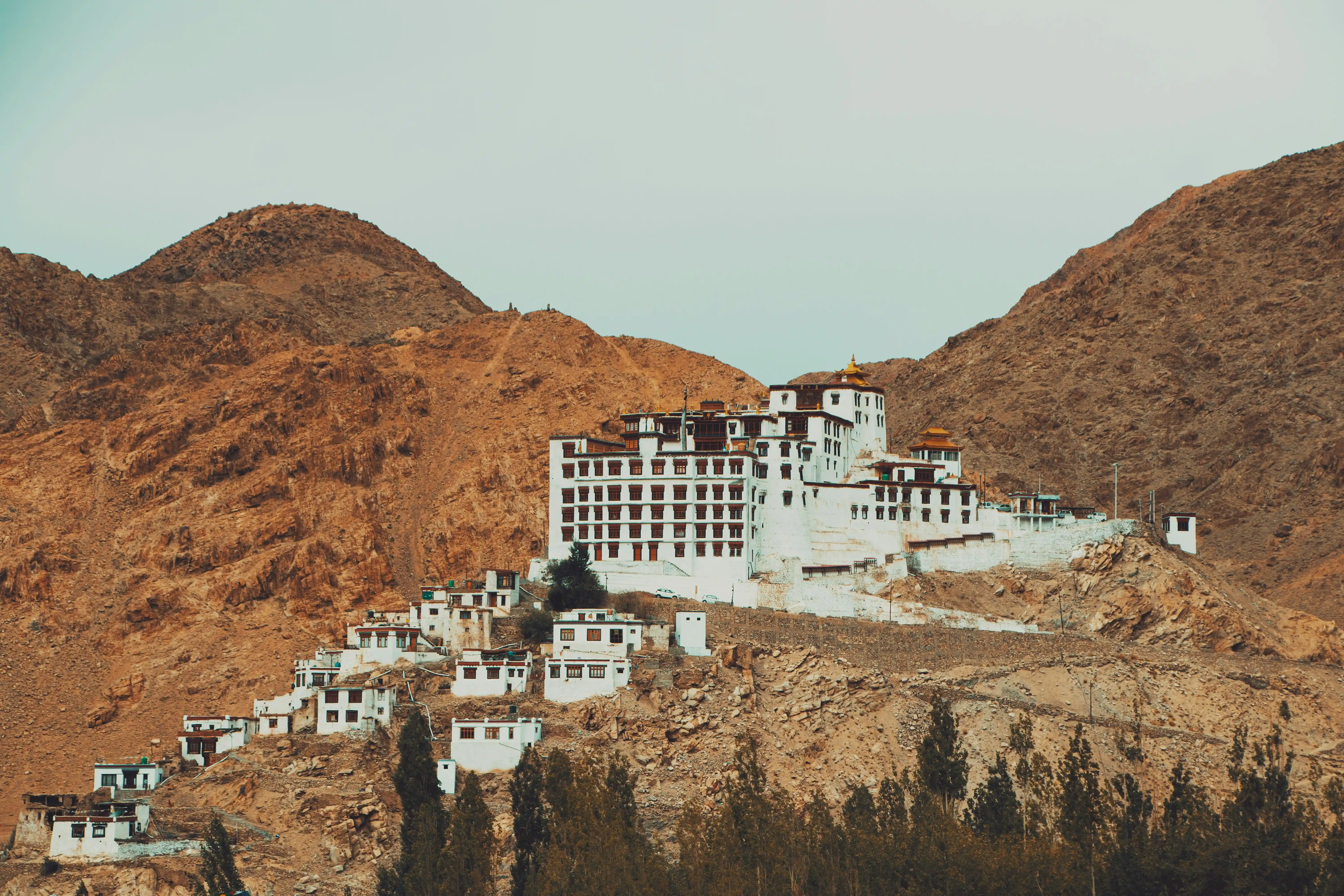 thiksey monastery in leh with its many white buildings on a small hill, surrounded by more hills