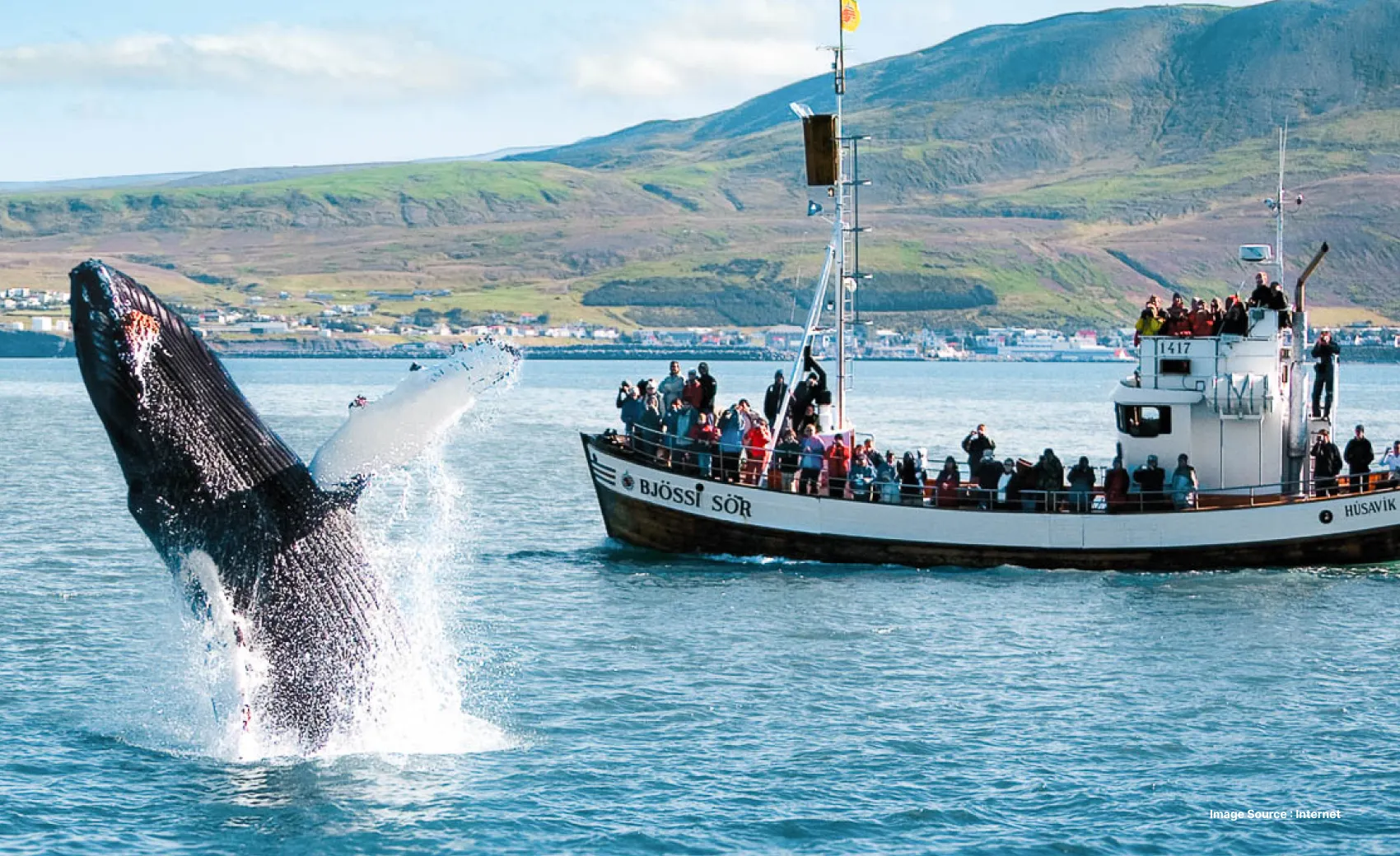 a group of tourists watching whale jump out of water