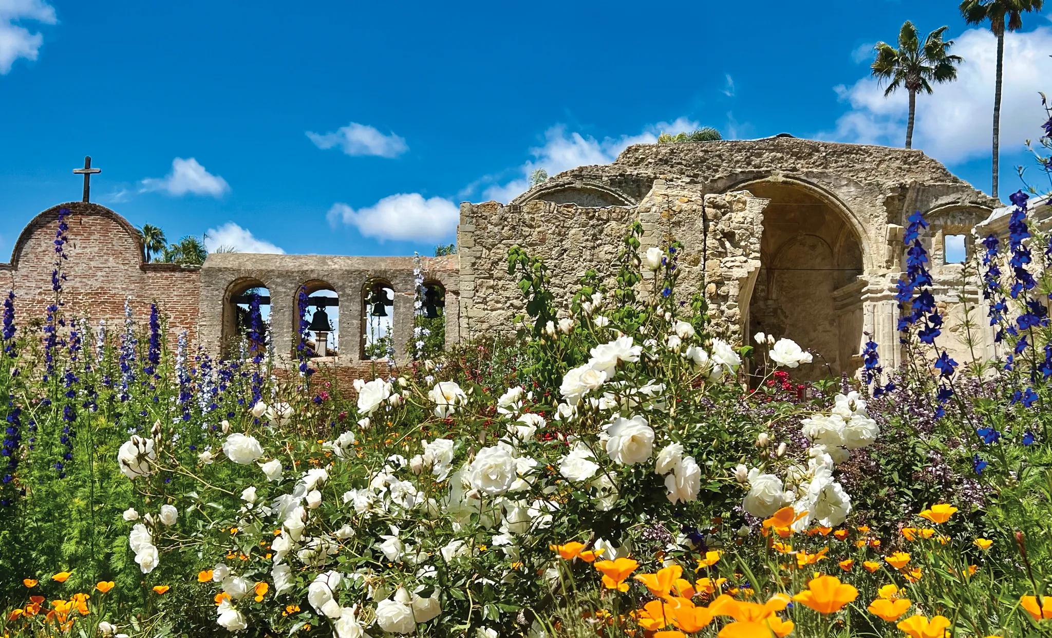 colorful flowers in a garden in front of mission san jose's old building