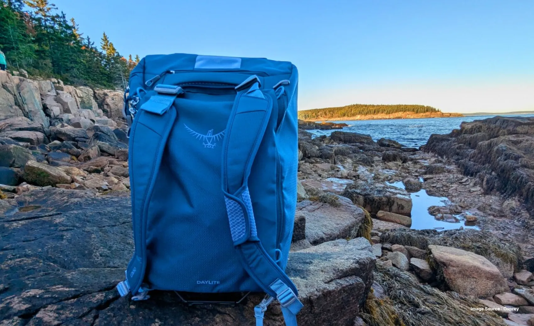 a blue backpack on rocks by a water body and a jungle