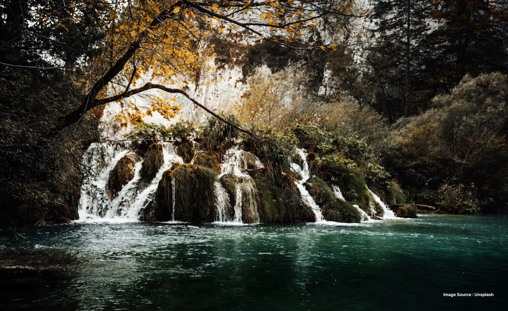 the clear waters of a small waterfall with greenery inside a jungle