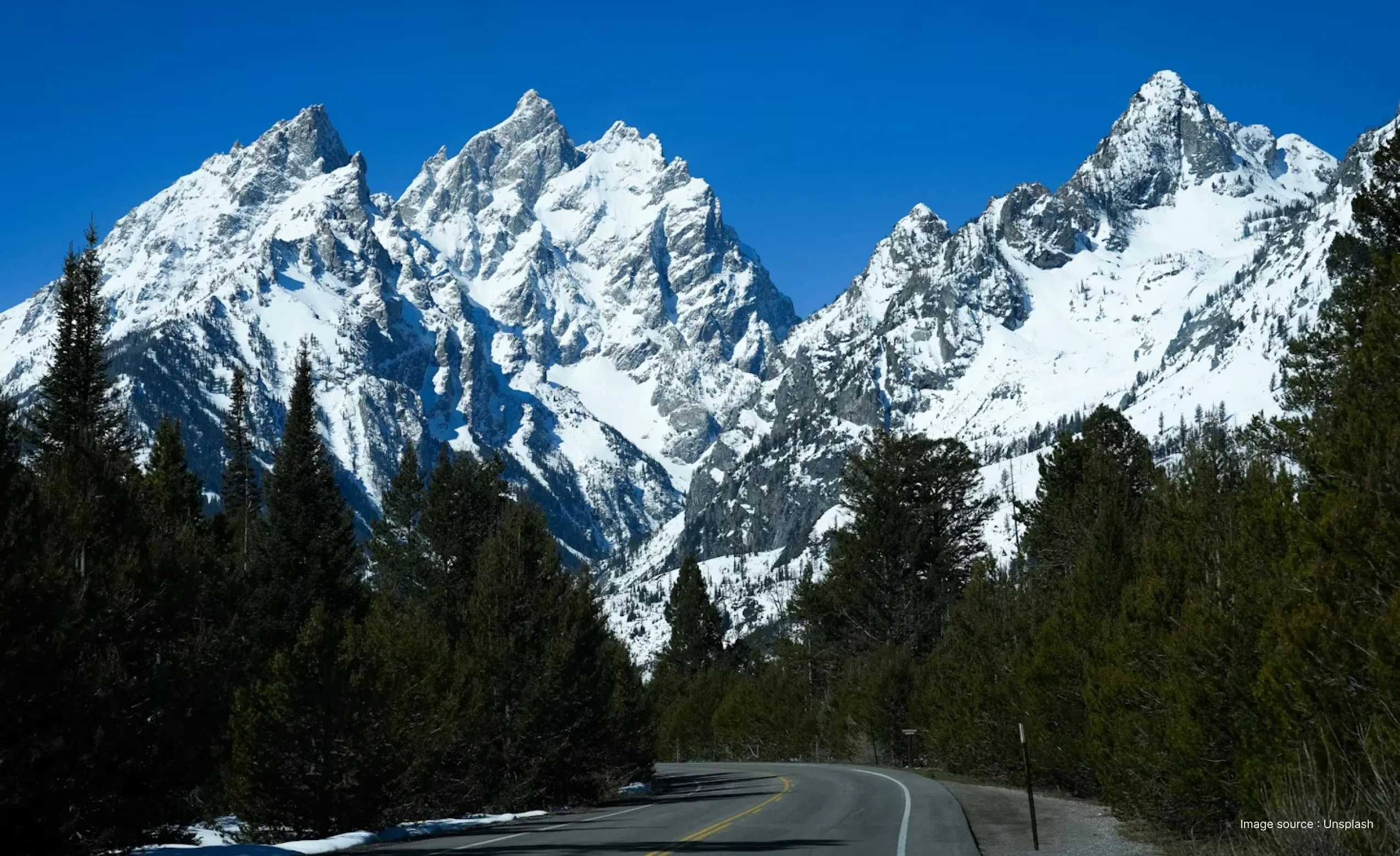 snow capped peaks of the tetons mountain range with fern trees flanking the roads
