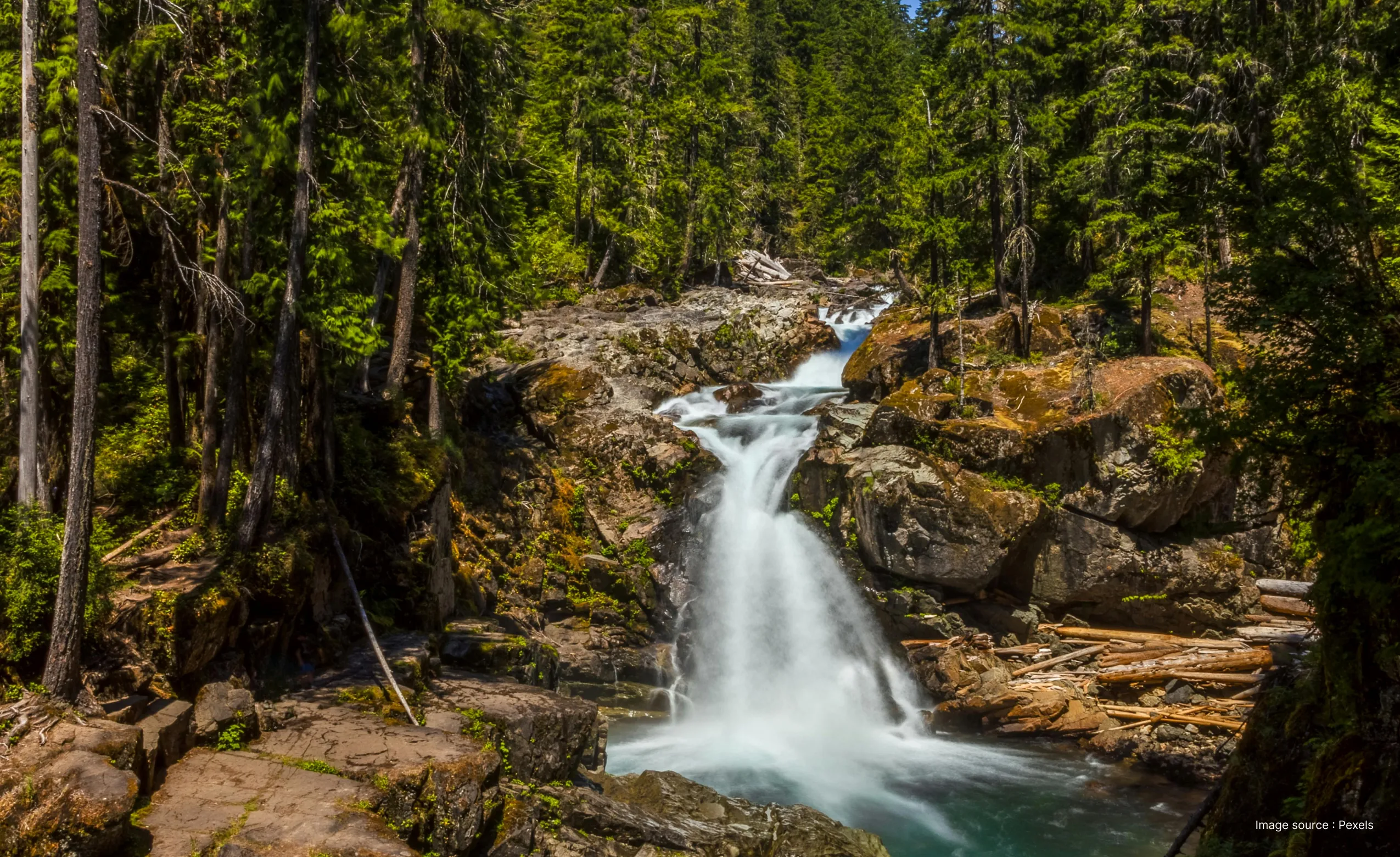 a small waterfall flowing through rocks surrounded by tall trees