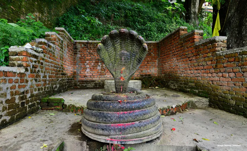 an ancient idol of snake lord within a forest