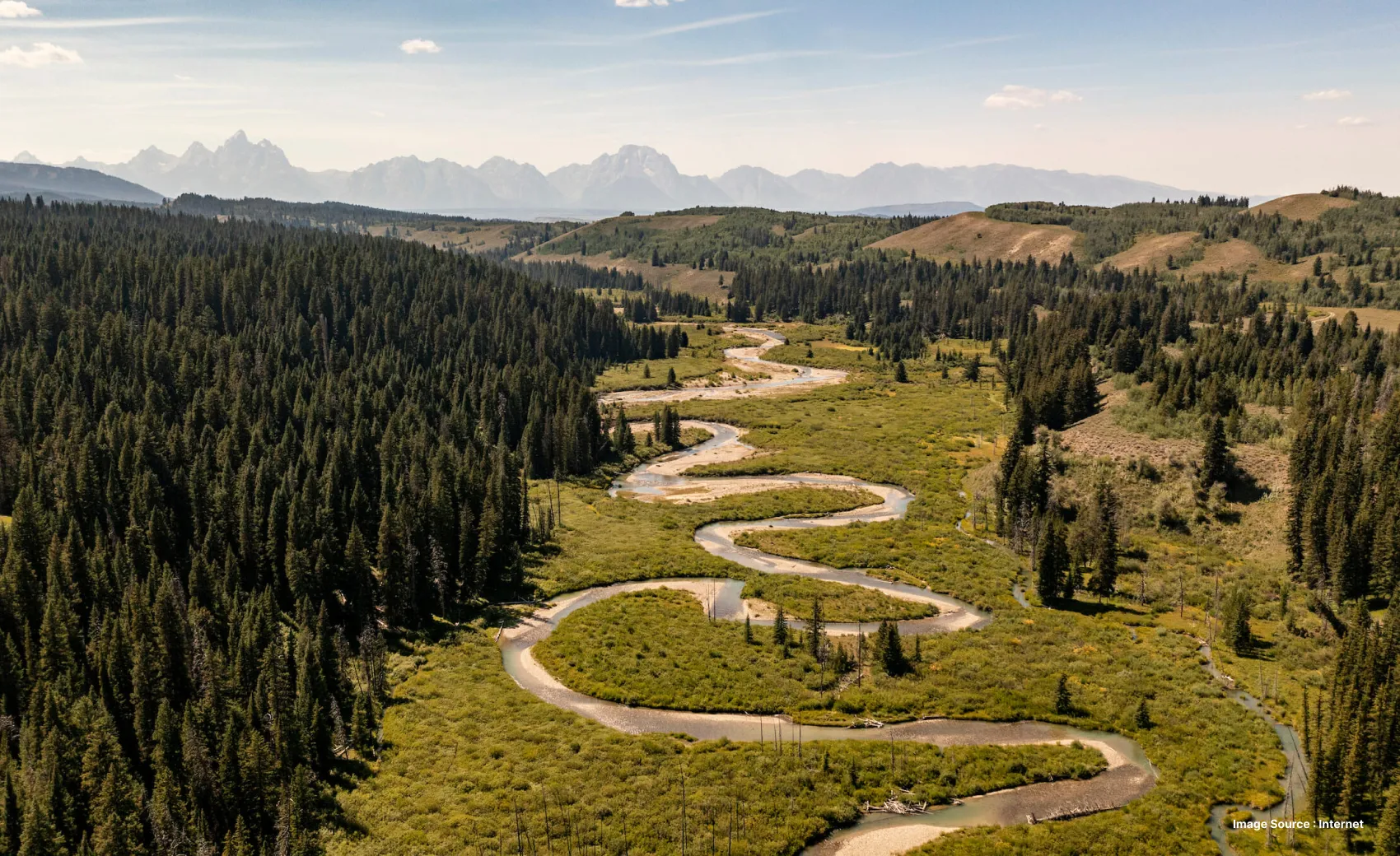 aerial view of spread creek with winding roads and a dense pine forest