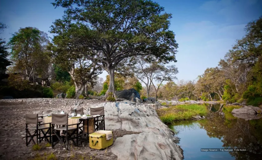 Outdoor picnic setup by a river under large trees, reminiscent of luxury experiences on kenya safaris