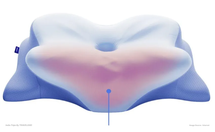a diagram of the pillow pointing out the pain point in the neck where the pillow supports the neck