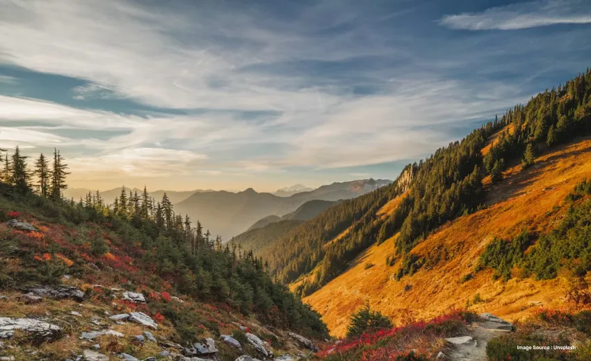 a picture of a hill top scenary
