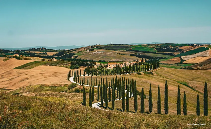 Scenic countryside pathway lined with cypress trees and hills
