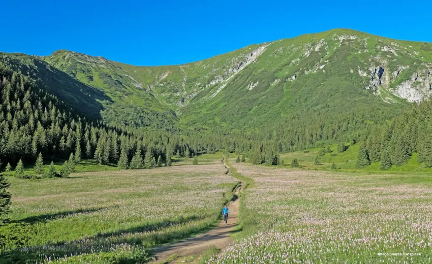 a green valley with wildflowers all around in front of a small hill