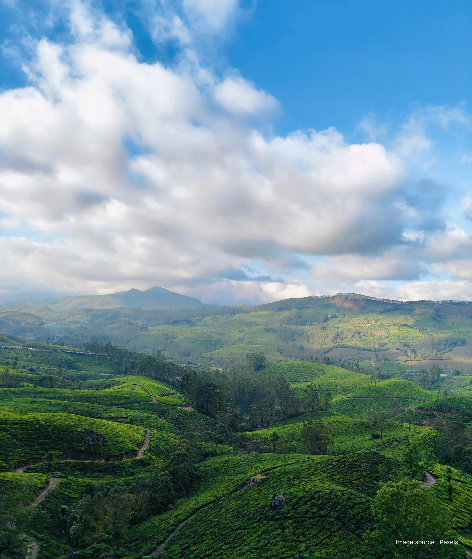 aerial view of the rolling green hills under mist of munnar