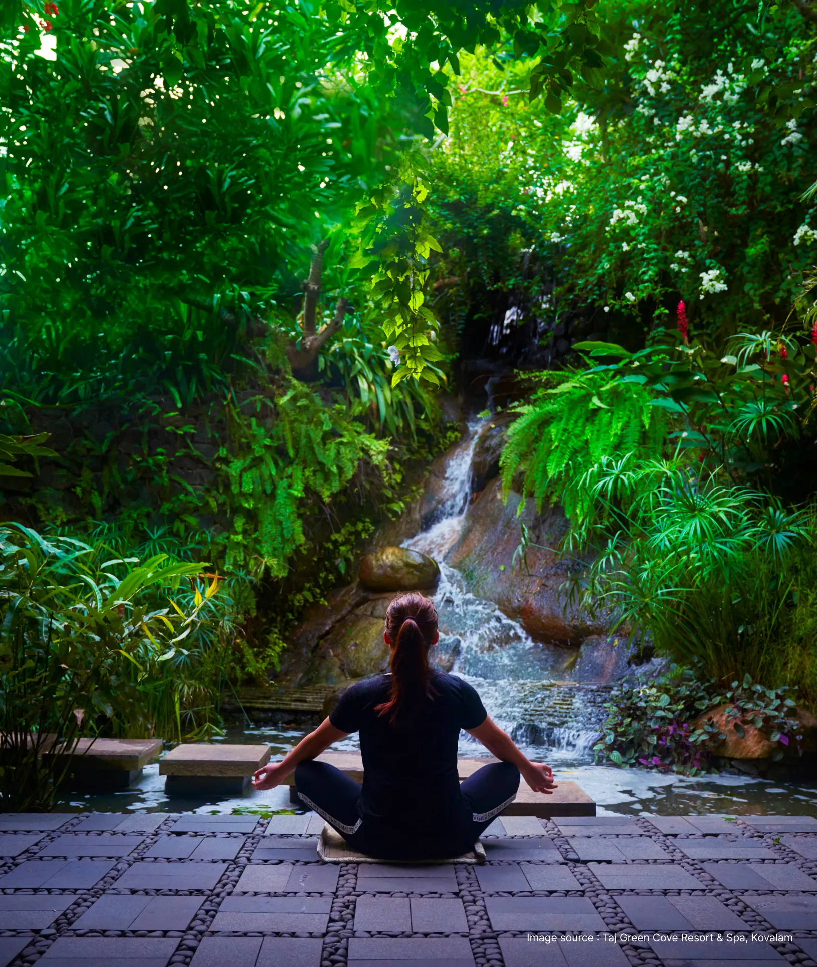 back of a person practicing meditation in middle of lush greenery
