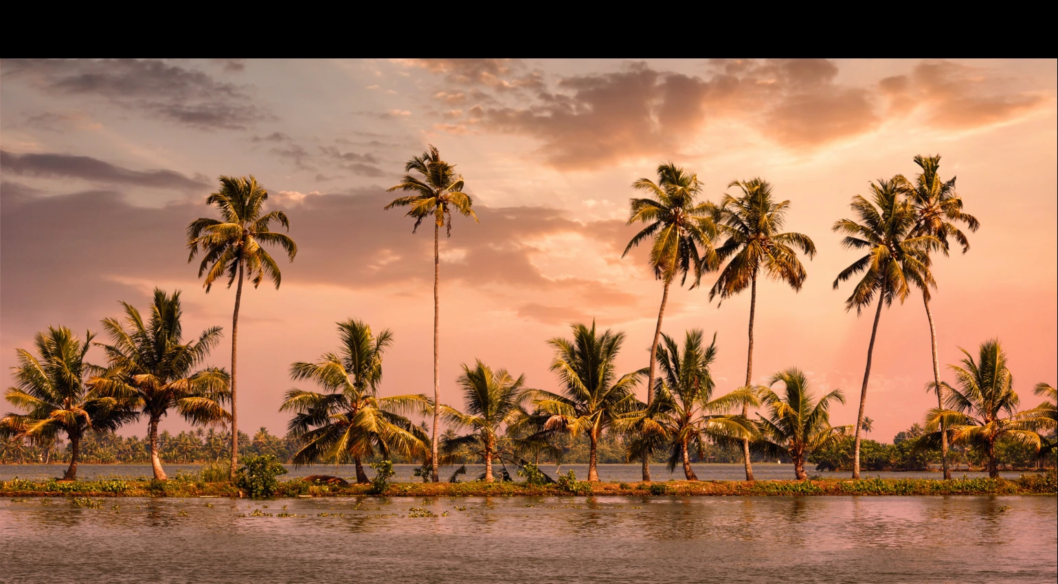 Wellness Ayurveda Tour
