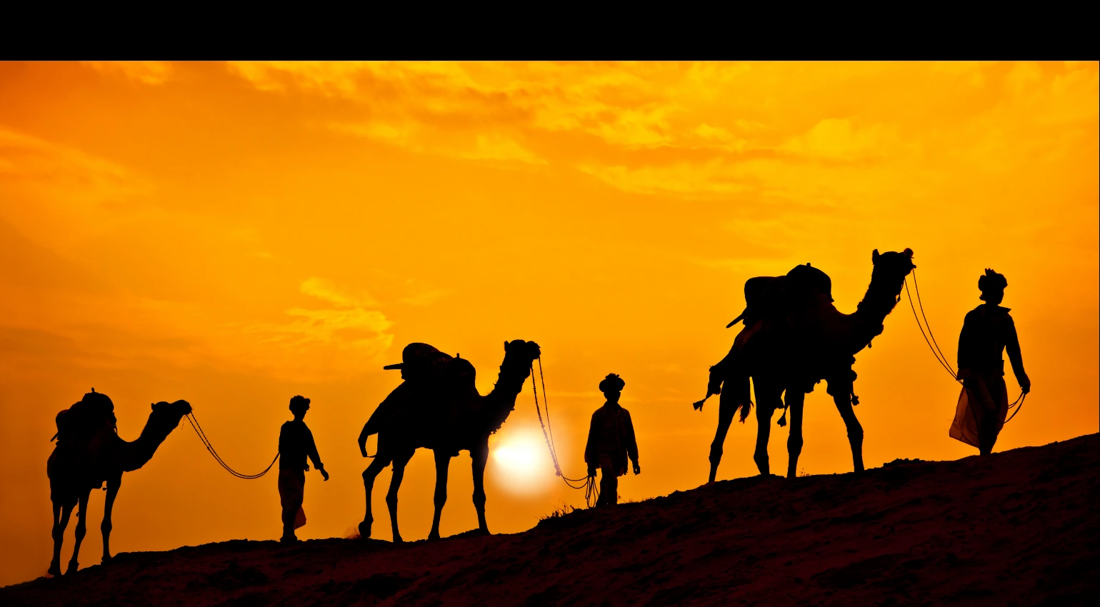 Desert Safari Tour