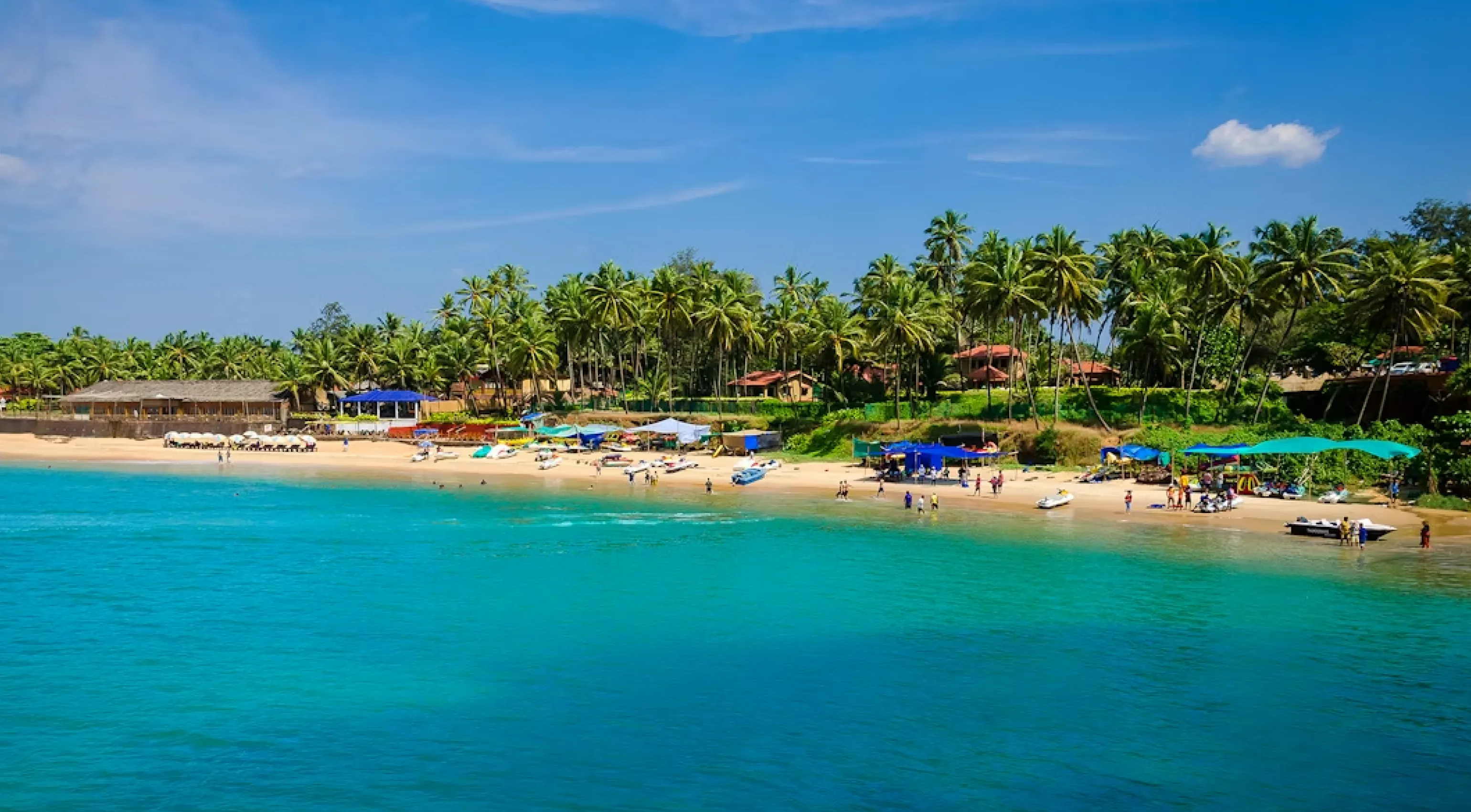 a pristine beach at goa with tourists swimming and relaxing under shades with palm trees behind