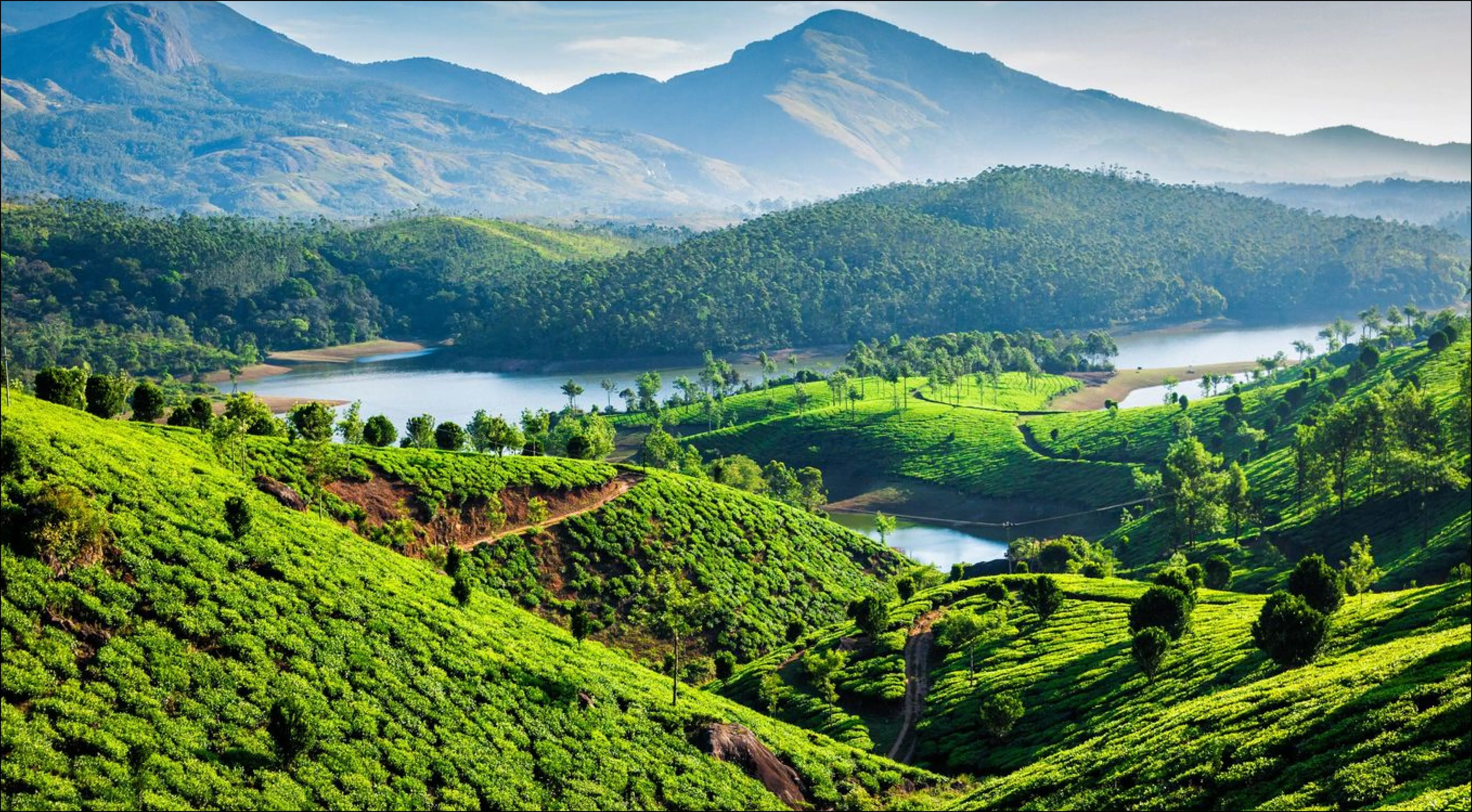 the skyline of munnar with green rolling hills, flourishing with trees & tea plantations
