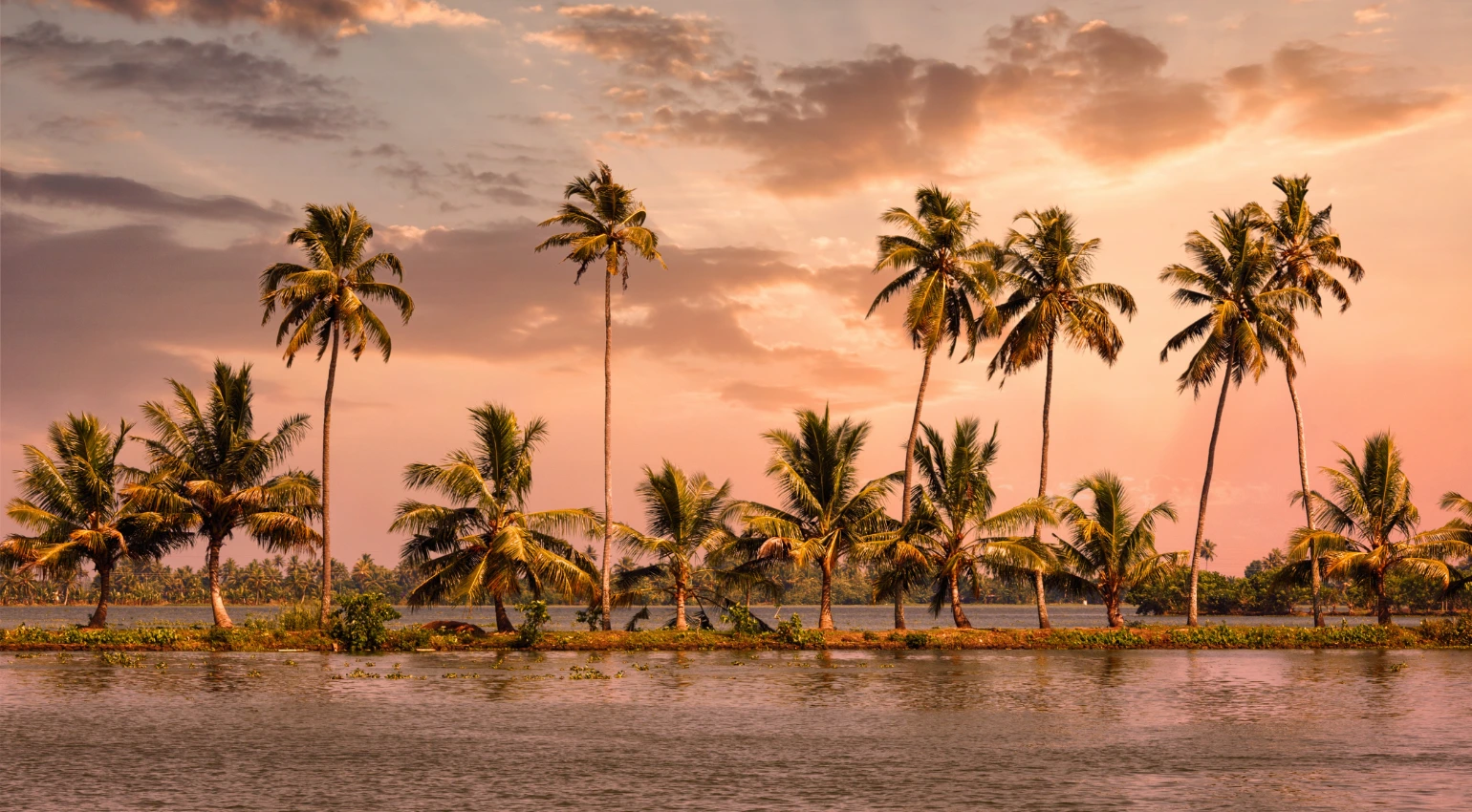 Wellness Ayurveda Tour