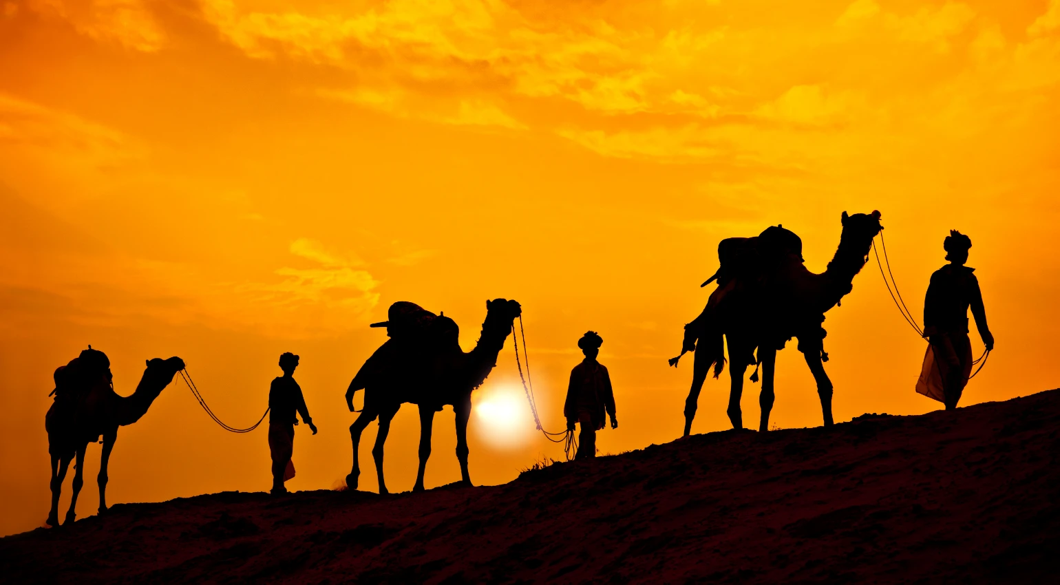 Desert Safari india