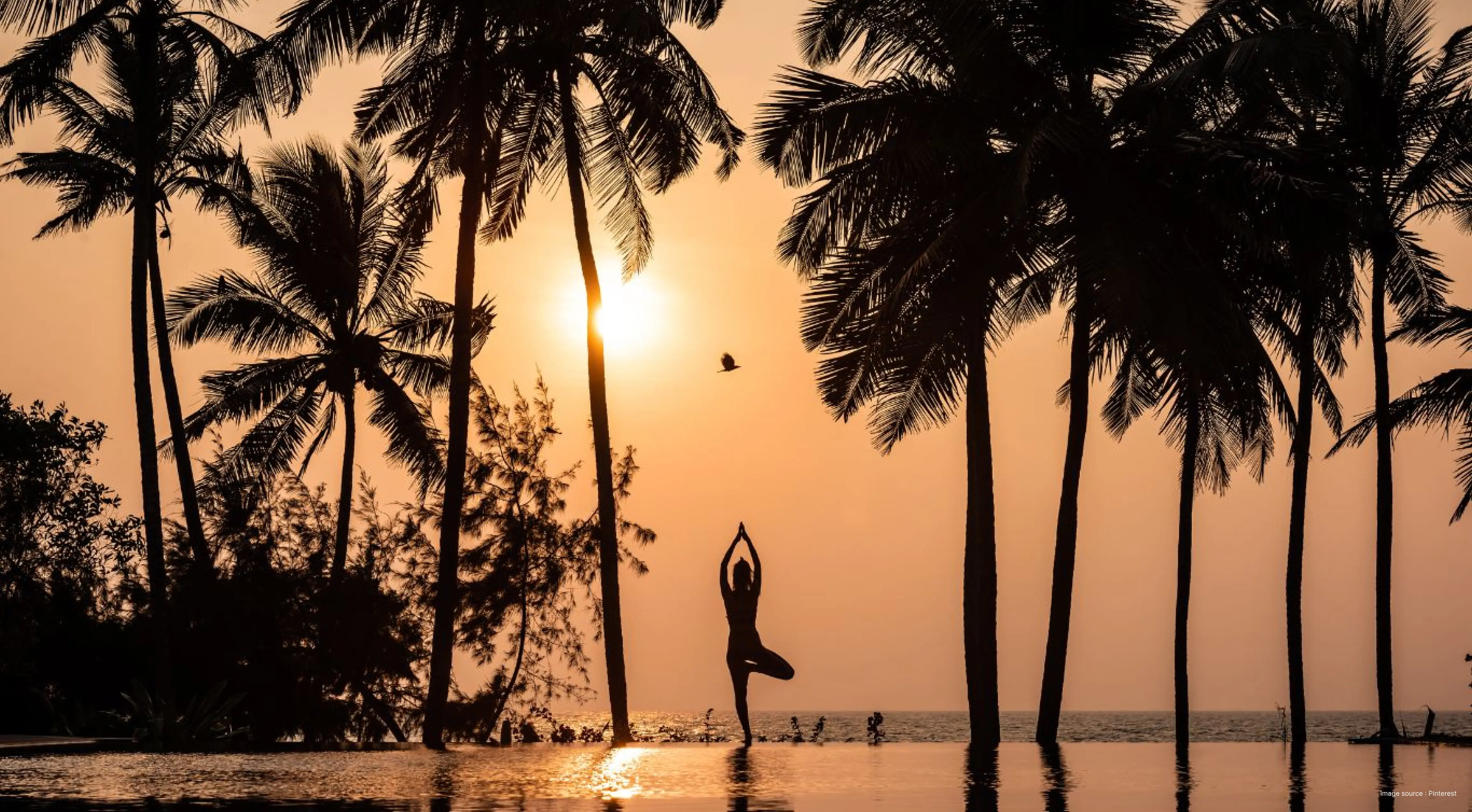 An image of a yoga practitioner performing Vrikshasana at dawn