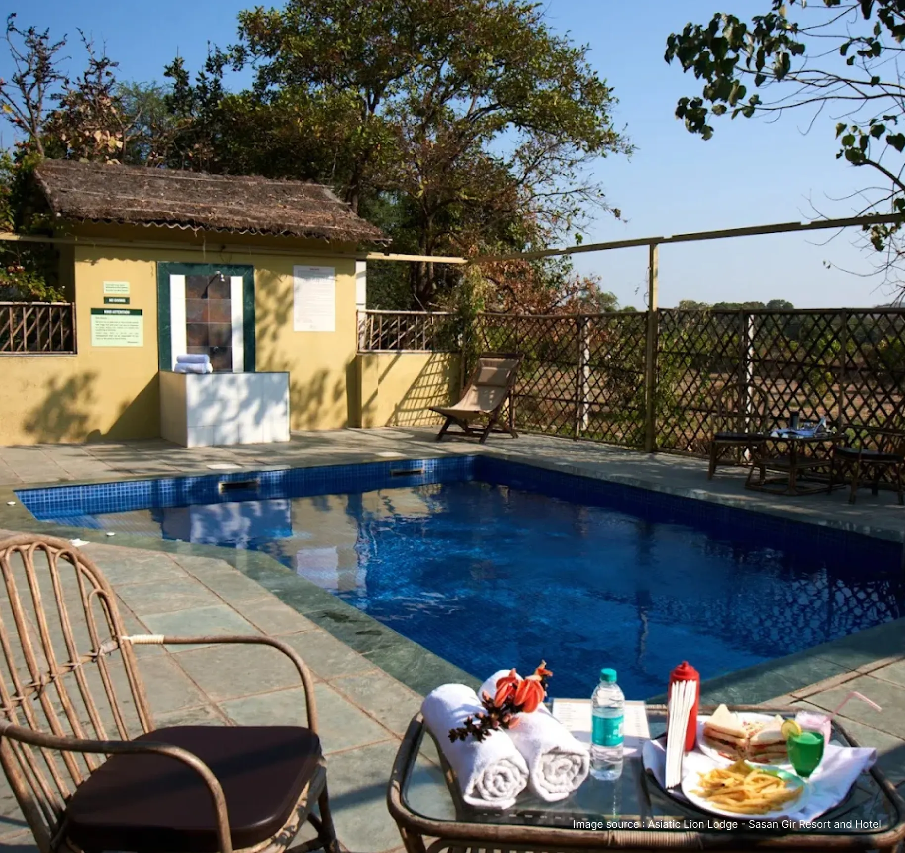 pool view of lion lodge in sasan gir with wooden chair and snacks on the table