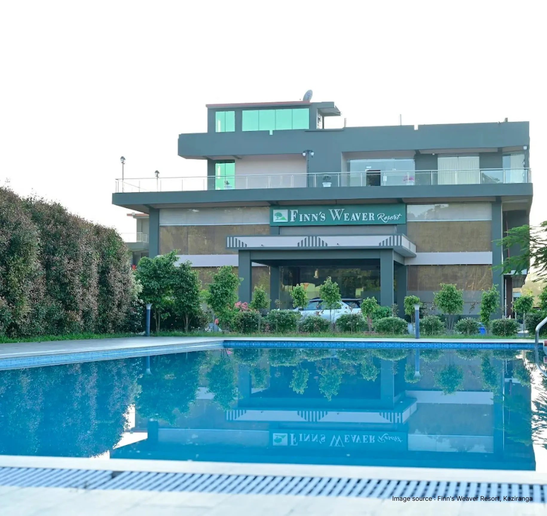 pool area of the finn resort in kaziranga with bushes lining the area