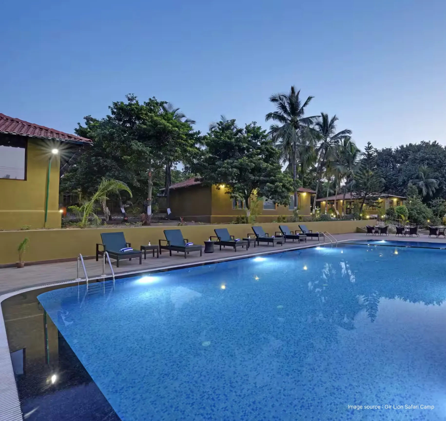 pool view of lion safari camp with lounge chairs at dusk