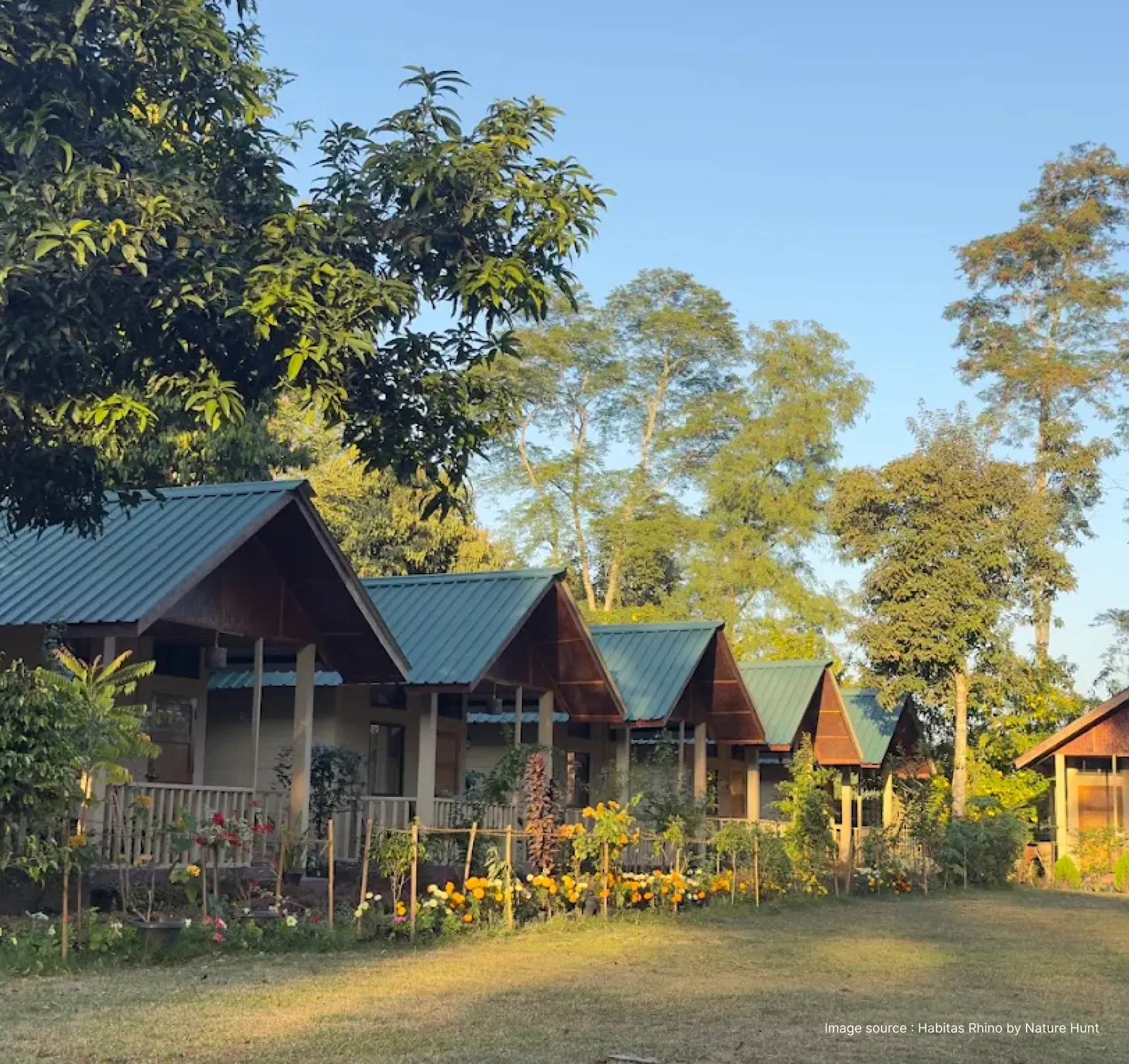 cottage style hut stays at the habitas resort surrounded by tall trees