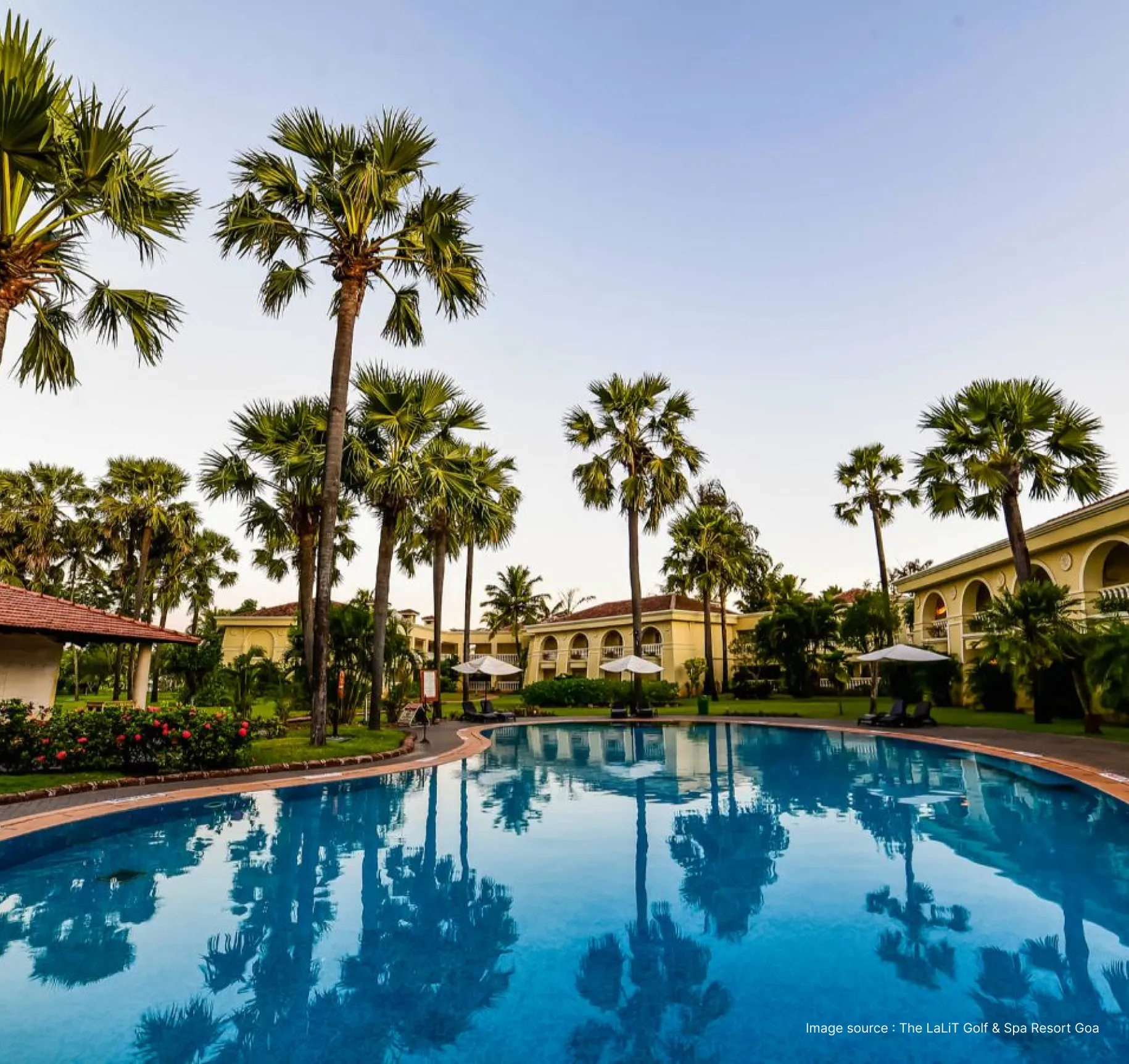 pool view with palm trees at the lalit goa