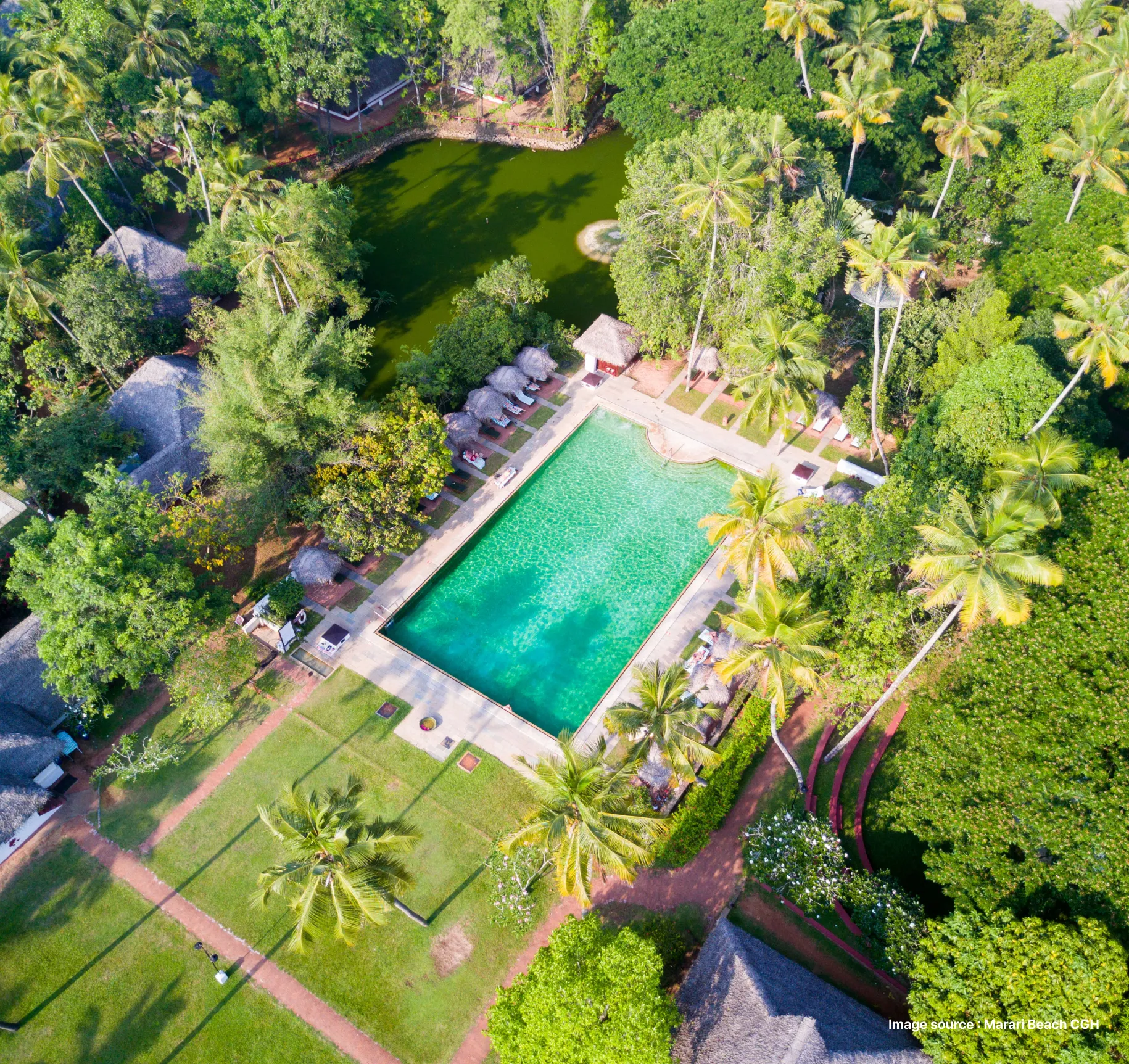 aerial shot of the CGH Earth Marari beach resort's pool area, surrounded by palm trees