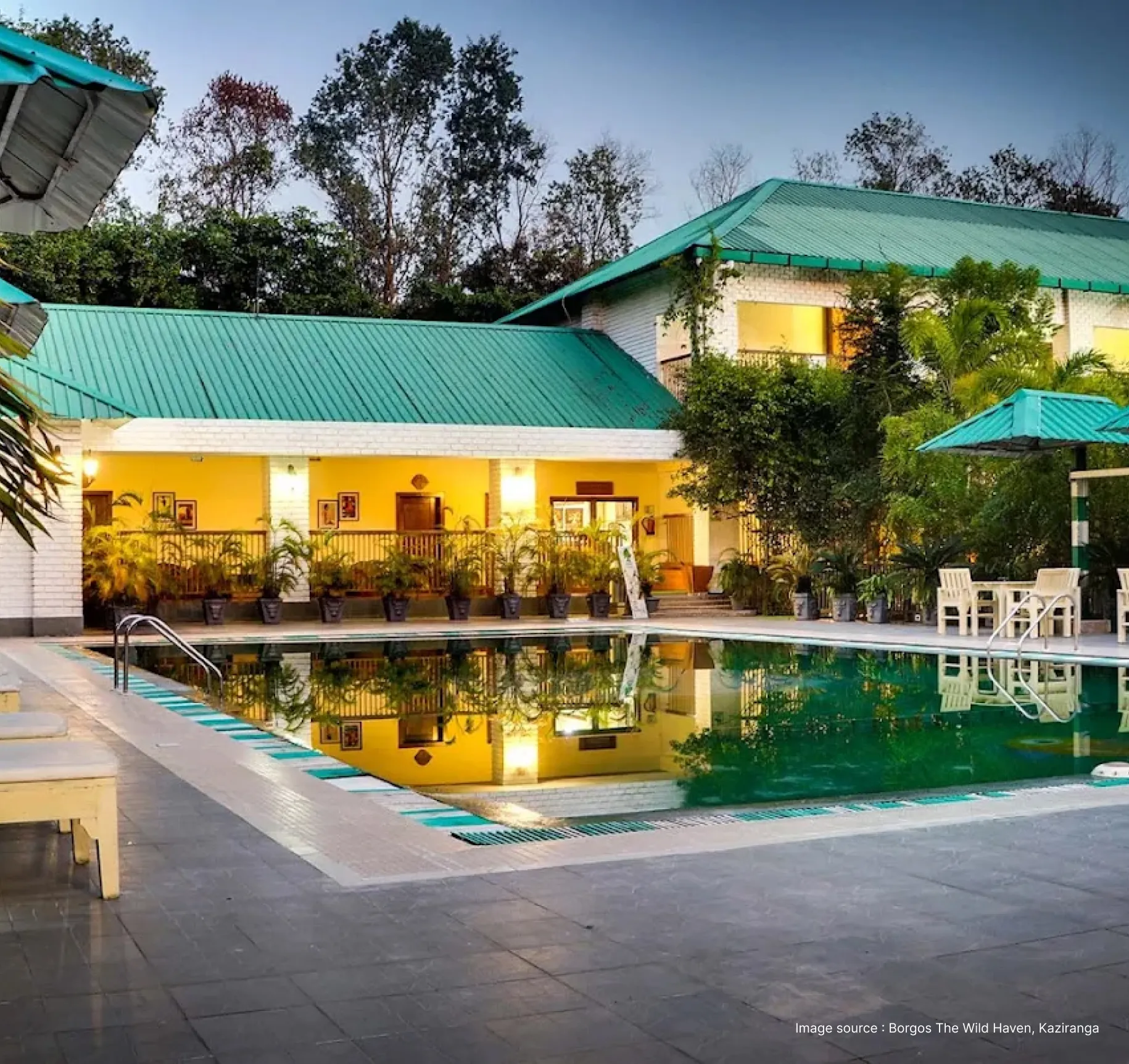 the wild haven resort's green roofed villa style stay with pool