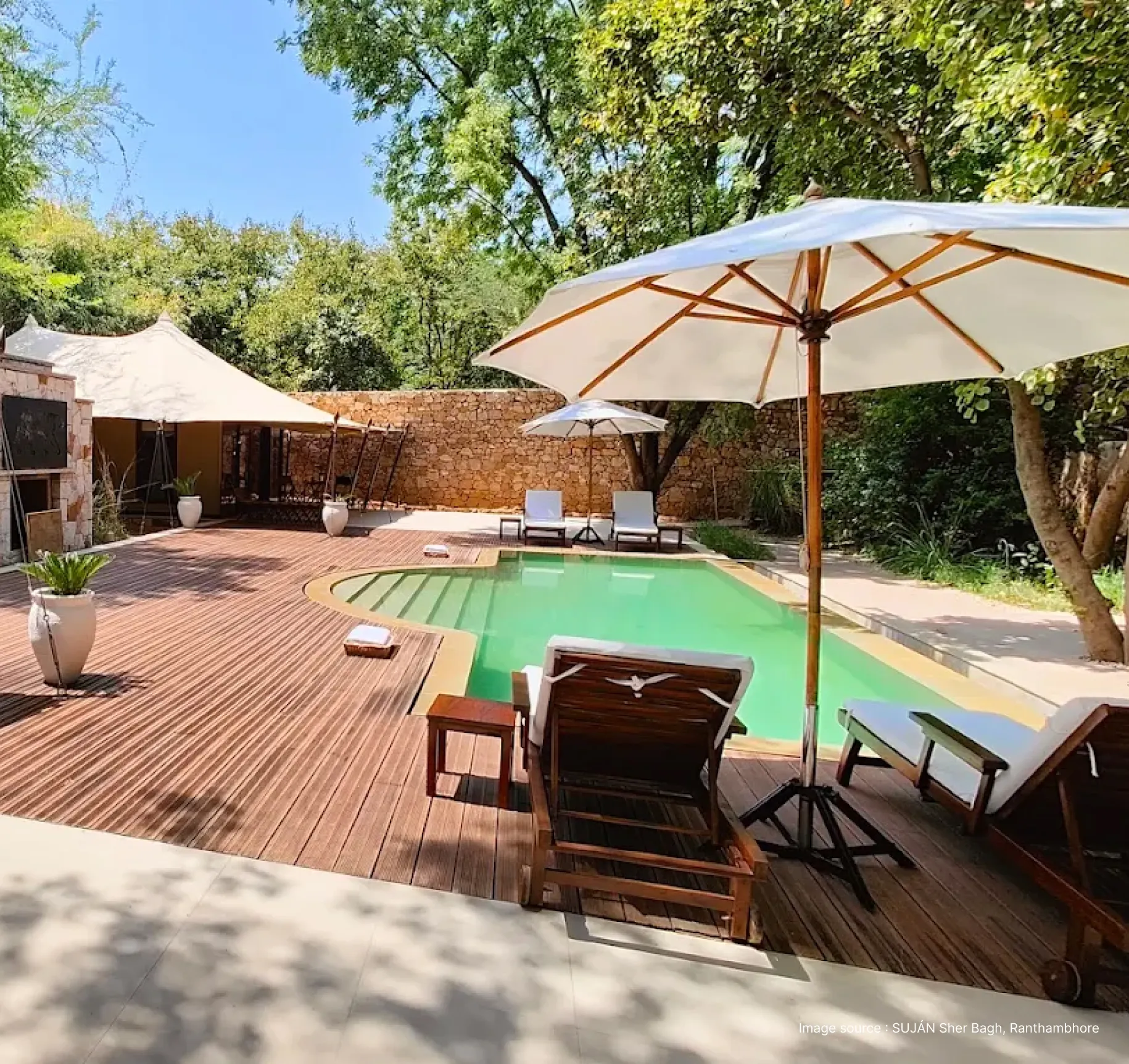 poolside view of sujan sherbagh resort with wooden lounge chairs