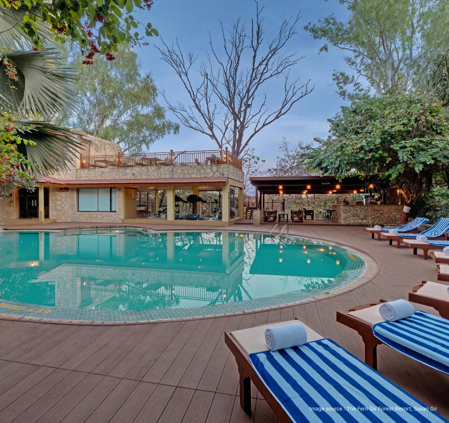 pool view of the fern resort with lounge chairs and trees